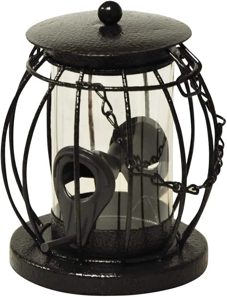 Kingfisher Mini Lantern Seed Feeder