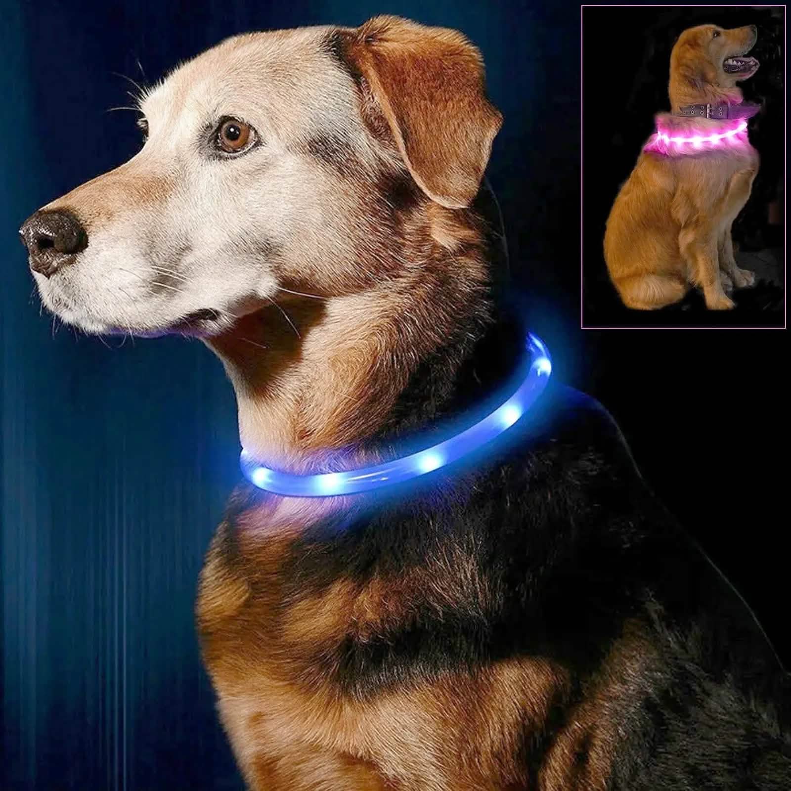 tooltime.co.uk Light Up Dog Collar Light Up LED Pet Dog Collar USB Rechargeable | Available in Blue or Pink
