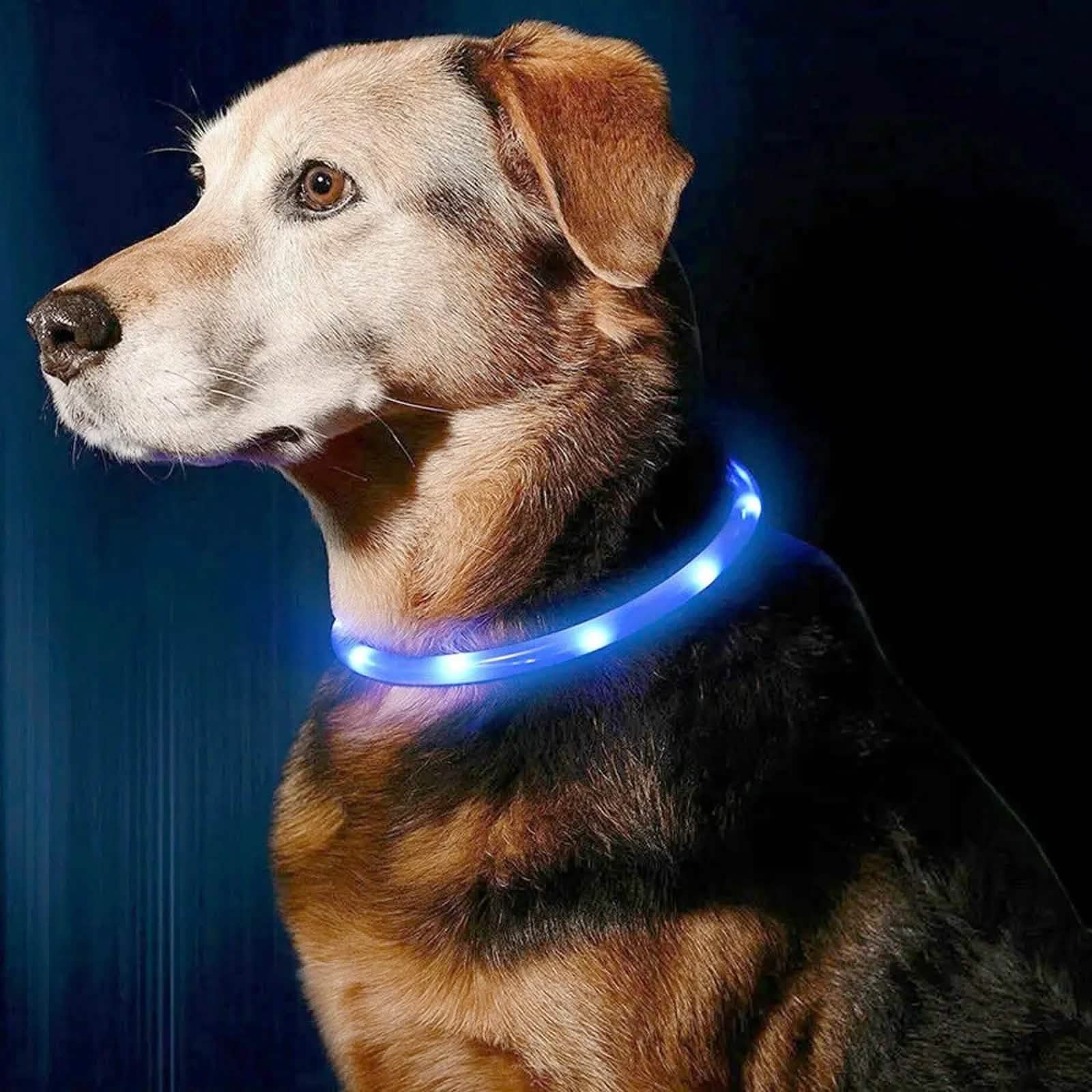 tooltime.co.uk Light Up Dog Collar Light Up LED Pet Dog Collar USB Rechargeable | Available in Blue or Pink