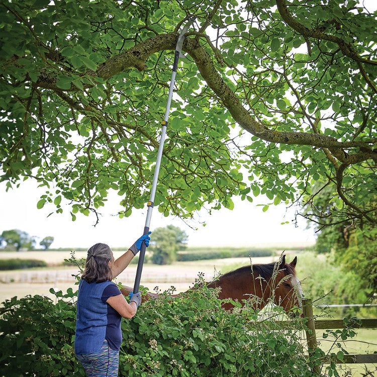 Tree Saw Pruner 2.5 Metre Branch Cutting  Aluminium Pole - Extending Telescopic