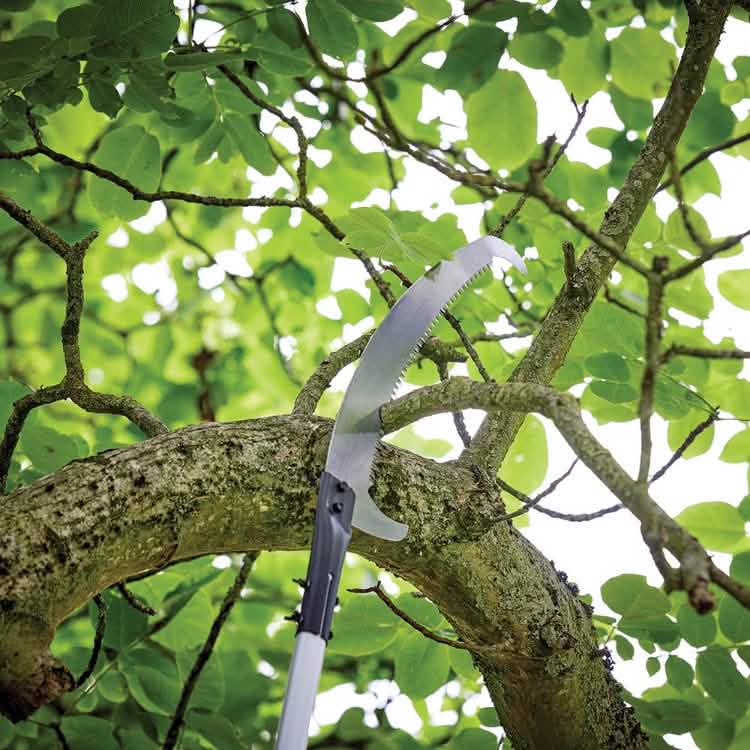 Tree Saw Pruner 2.5 Metre Branch Cutting  Aluminium Pole - Extending Telescopic