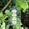 Natures Market BF008FB Squirrel Guard Hanging Fat Ball Feeder