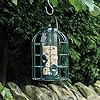 Natures Market BF008S Seed Feeder with Squirrel Guard