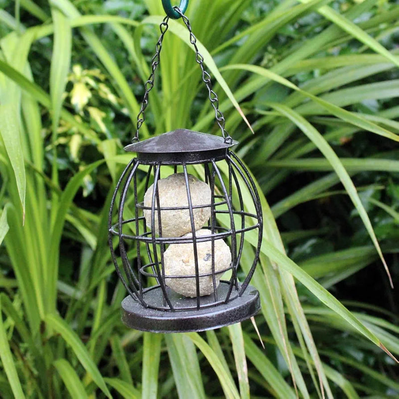 Natures Market BF043 Squirrel Resistant Suet Ball Feeder