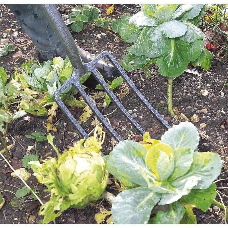 Draper Carbon Steel Garden Fork Dr-88789