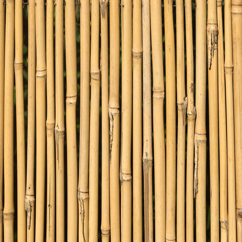 5ft Bamboo Garden Canes Natural Strong Plant Support Stakes 1.5m 20-100pk