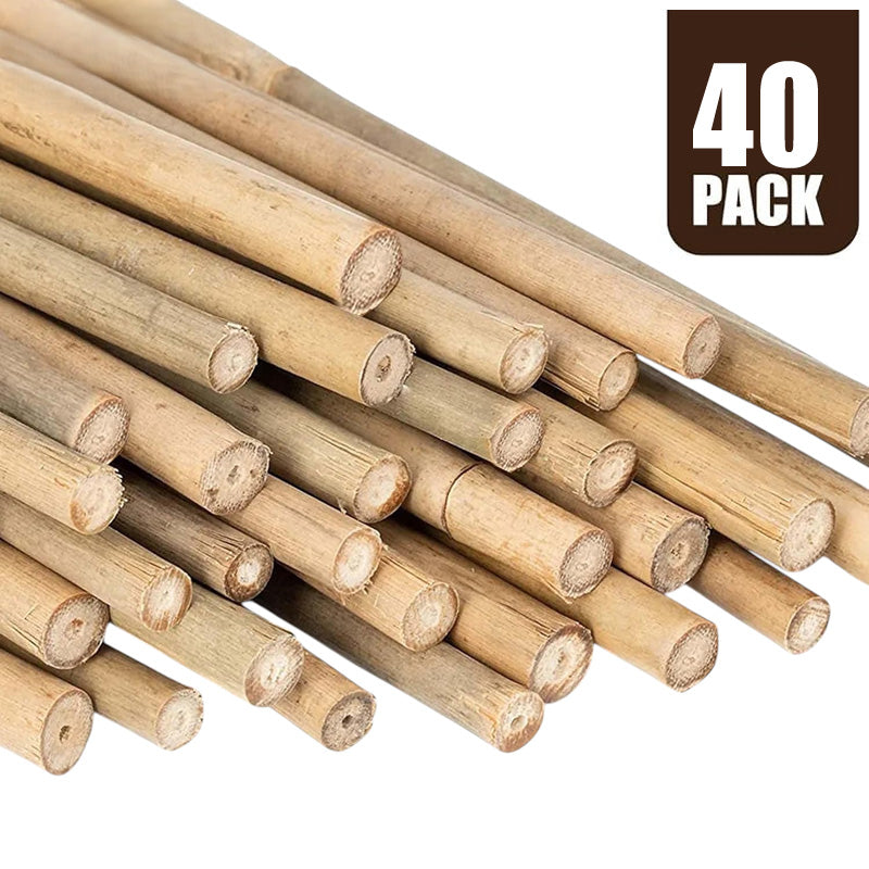 5ft Bamboo Garden Canes Natural Strong Plant Support Stakes 1.5m 20-100pk
