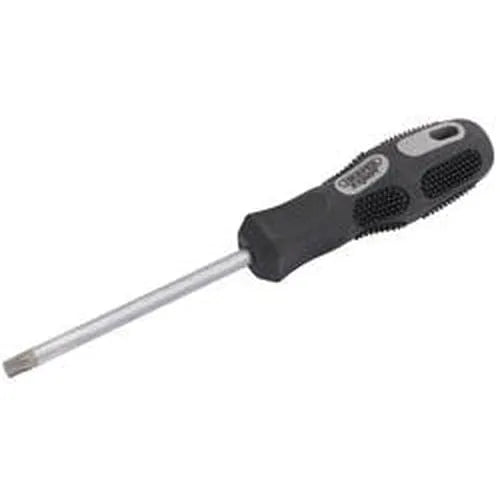 Draper Draper Tx-Star Driver T40 X 100Mm Long Dr-10868