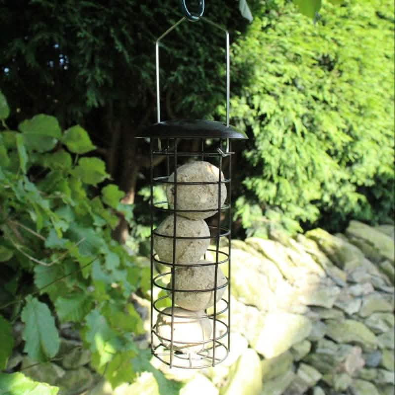 tooltime Bird Feeders Hanging Bird Feeders Seeds Peanuts Suet Fat Balls Wild Garden Outdoor Set of 3