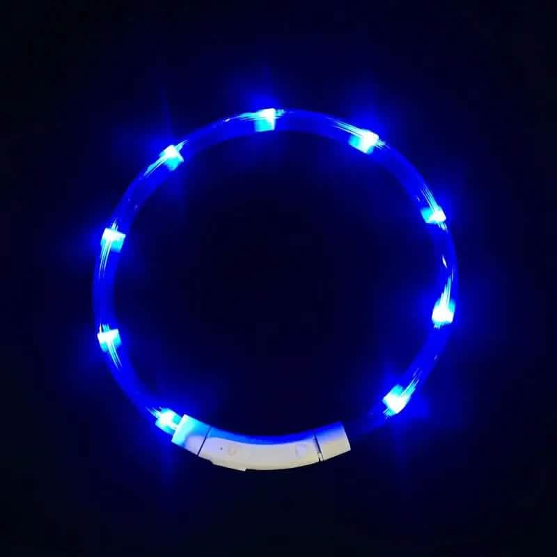 tooltime.co.uk Light Up Dog Collar Light Up LED Pet Dog Collar USB Rechargeable | Available in Blue or Pink