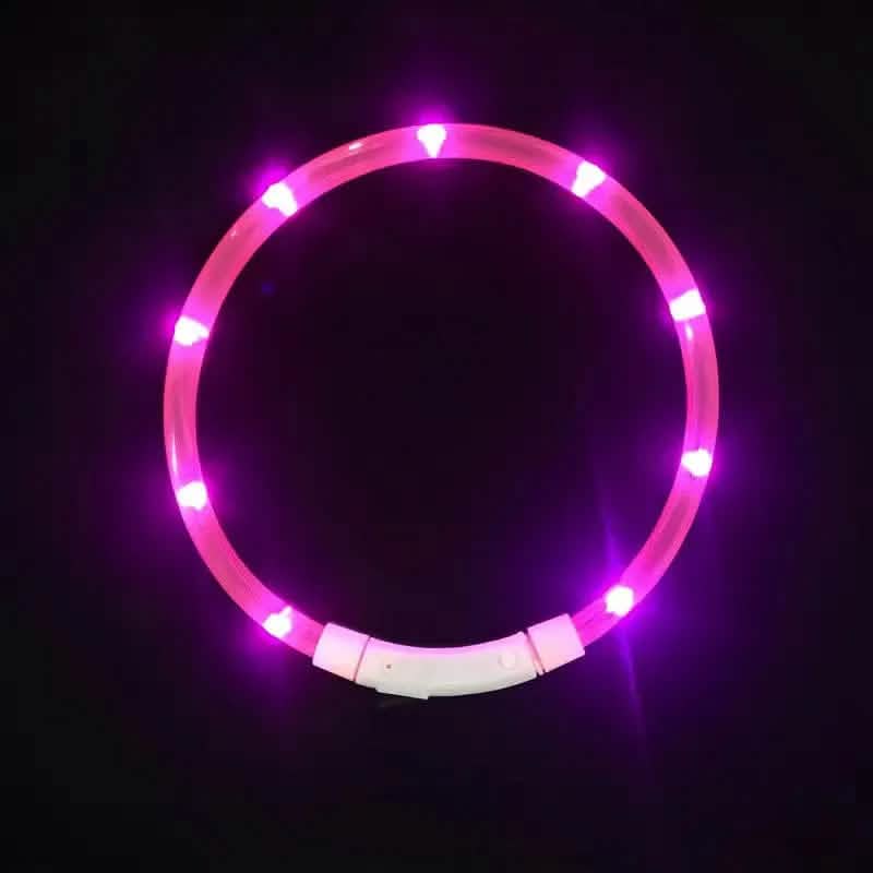 tooltime.co.uk Light Up Dog Collar Light Up LED Pet Dog Collar USB Rechargeable | Available in Blue or Pink