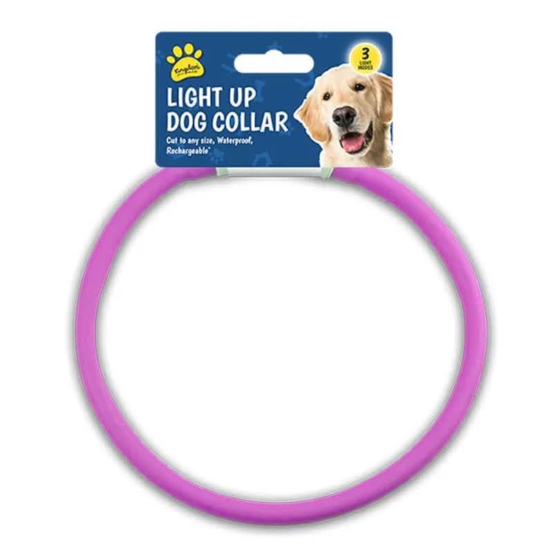 tooltime.co.uk Light Up Dog Collar Light Up LED Pet Dog Collar USB Rechargeable | Available in Blue or Pink
