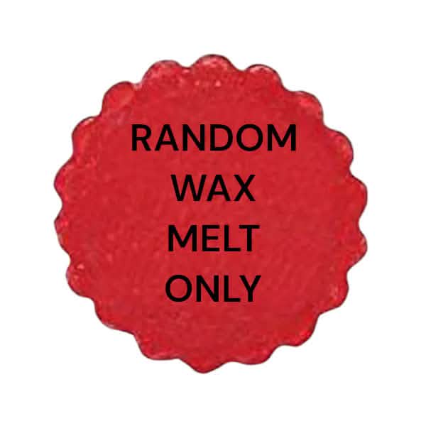Electric Wax Oil Warmer Plug In Aroma- choice + SCENTED OILS (6 PACK)