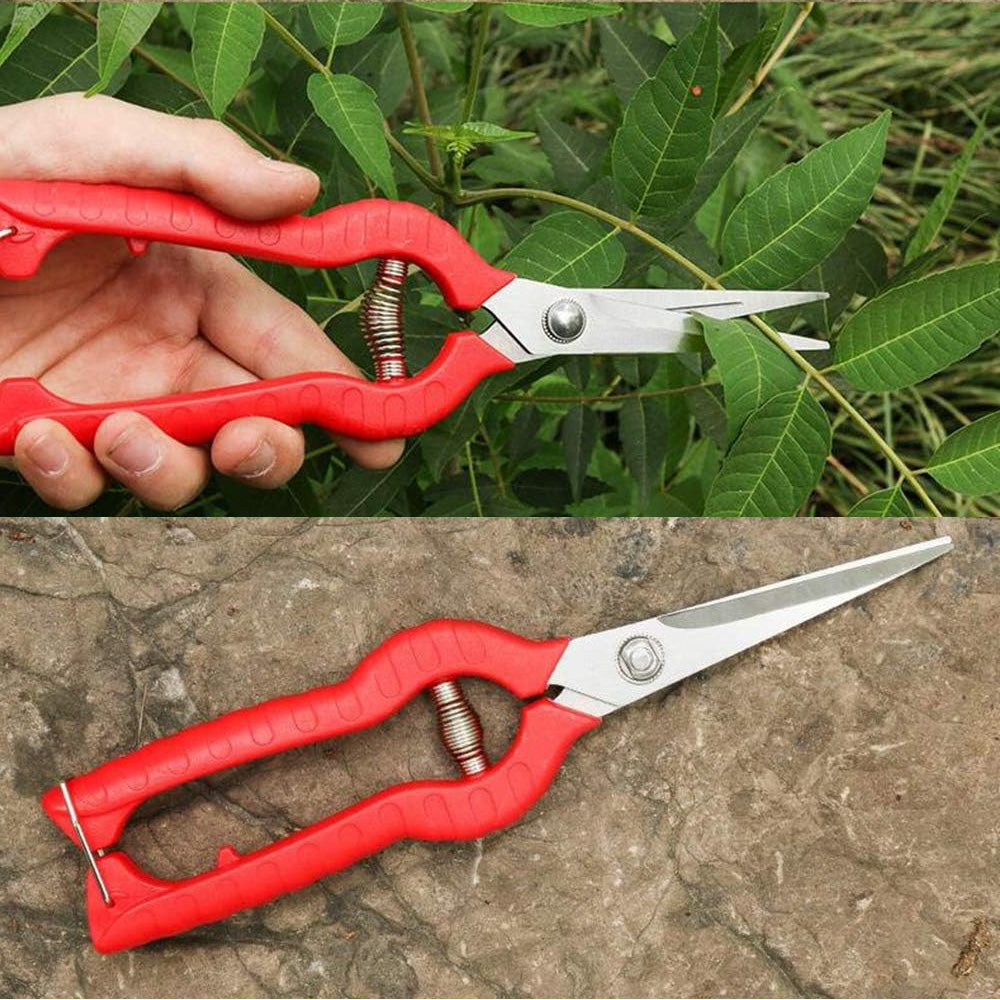 8" Precision Garden Secateurs Pruning Shears Flower Deheading Scissors Floral Snips