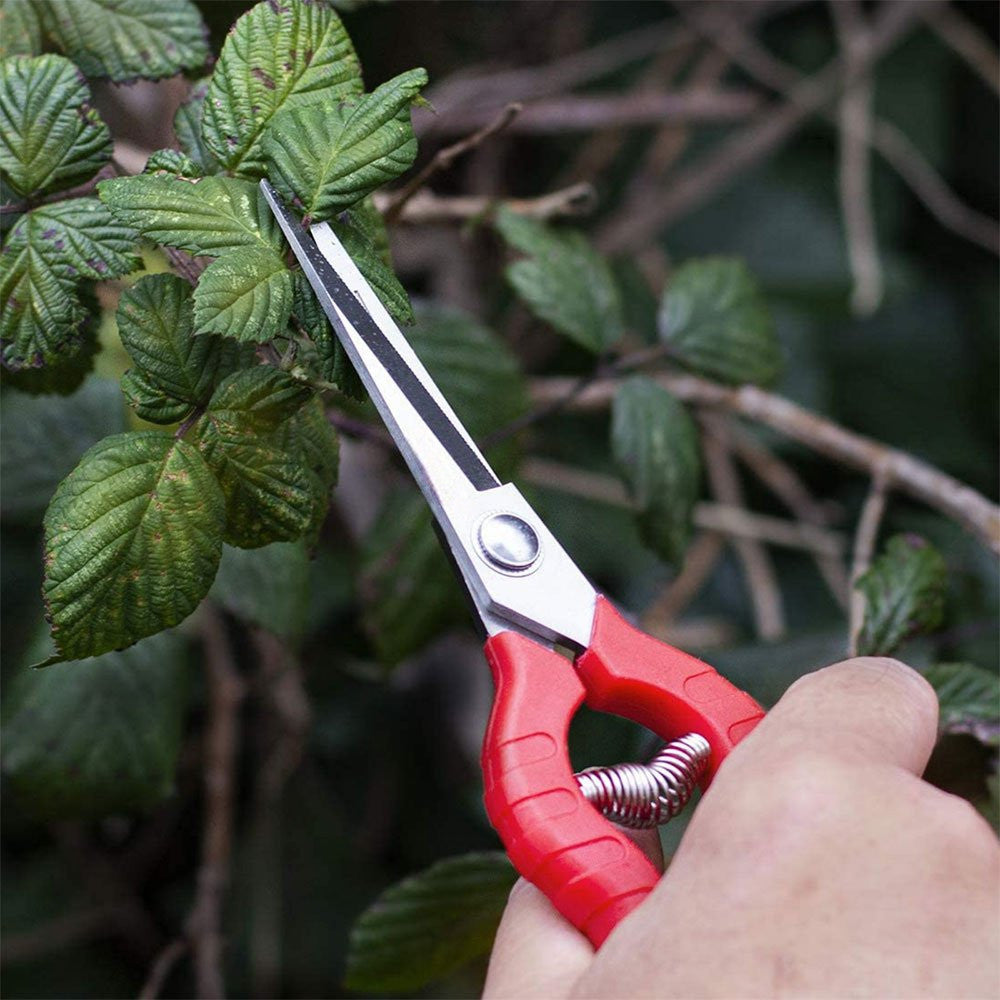 8" Precision Garden Secateurs Pruning Shears Flower Deheading Scissors Floral Snips