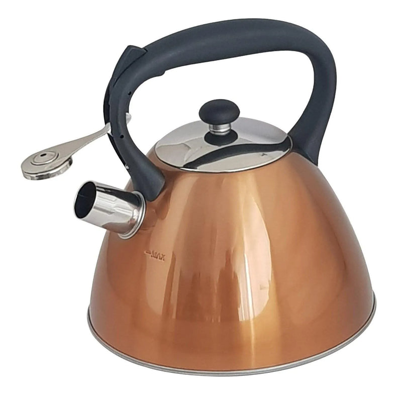 Voche kettle Copper Whistling Kettle Stainless Steel  3.0L Metallic Gas Electric Hobs Voche