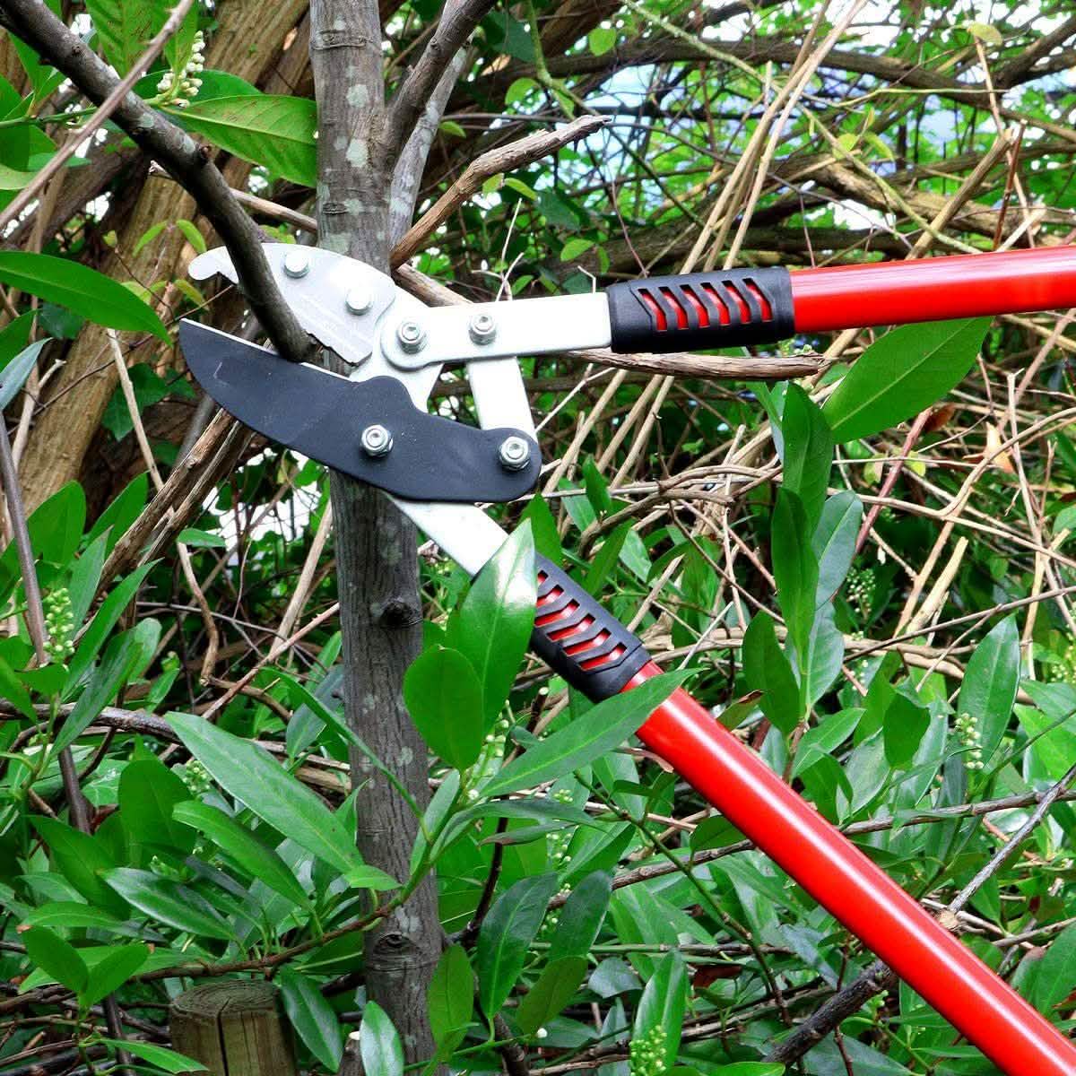 Anvil Ratchet Lopper - Telescopic Handles - Branch Pruner - 3 Year Warranty - tooltime.co.uk
